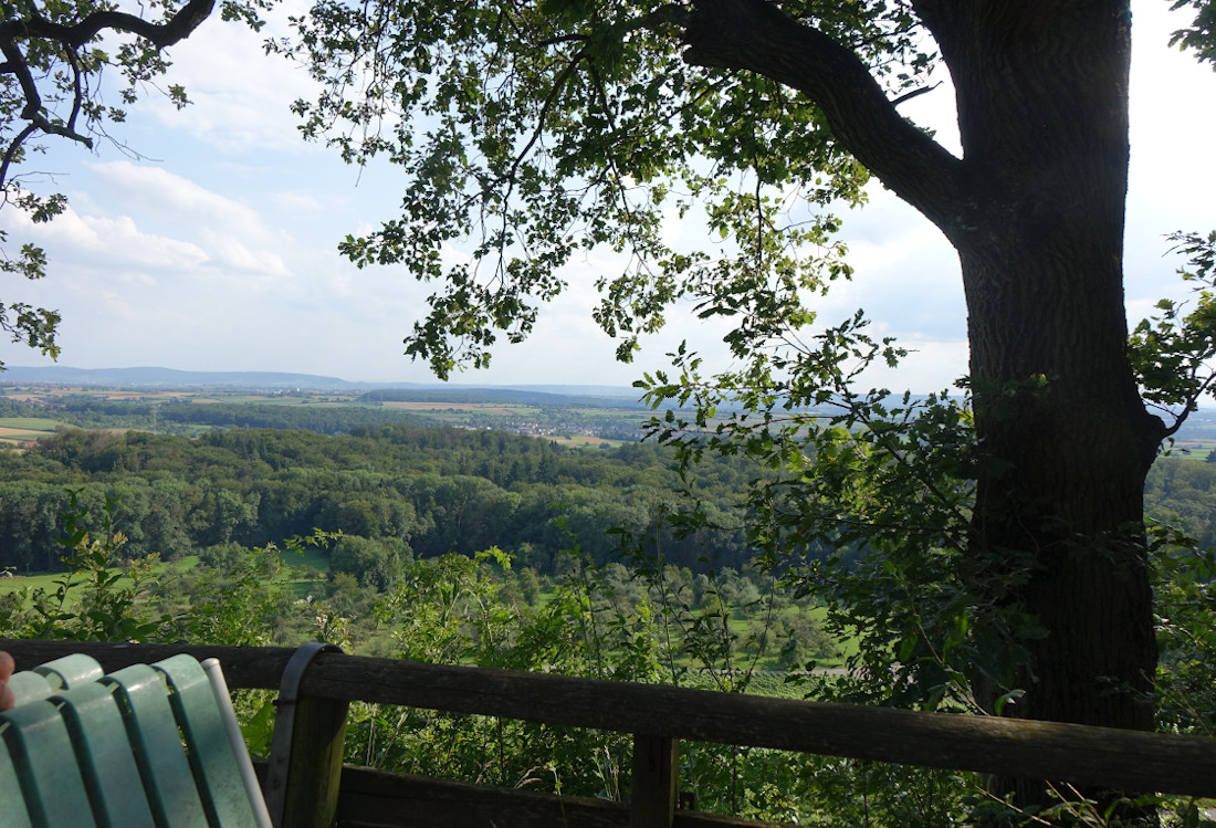 Blick vom Lemberg auf grüne Wälder.
