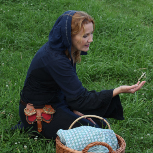 Auf einem blauen Hintergrund sind vier Sterne abgebildet. Einer ist hellgelb, der andere ist dunkelgelb und zwei andere sind rot und gelb.