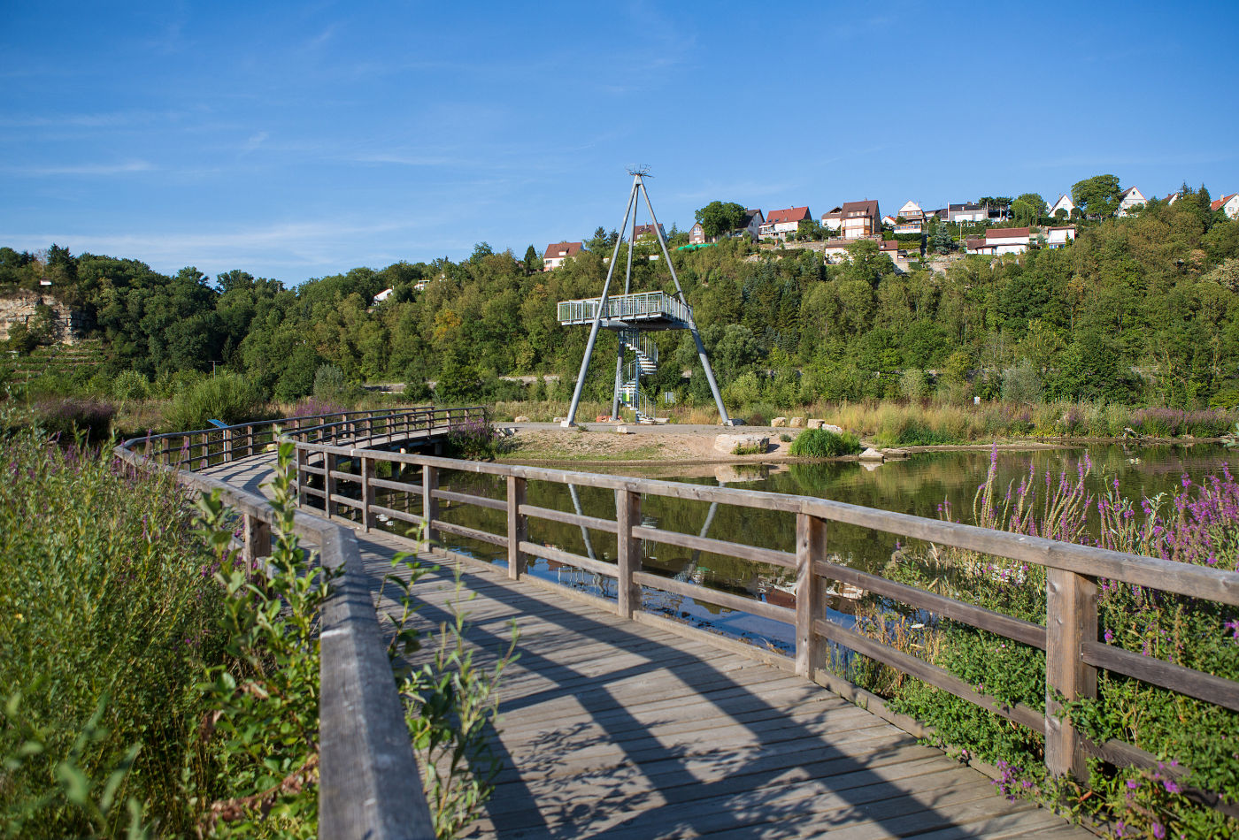 Zugwiesen mit Holzbrücke und Aussichtsturm im Hintergrund