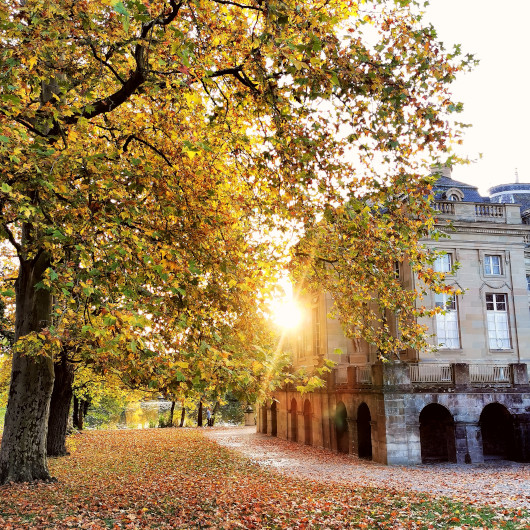 Gelbes Sonnenlicht scheint zwischen Bäumen und einem Schloss hindurch.