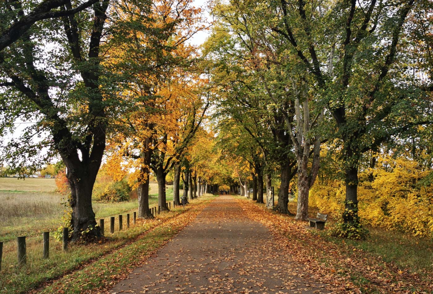 Blick auf den bunt eingefärbten Planetenweg.