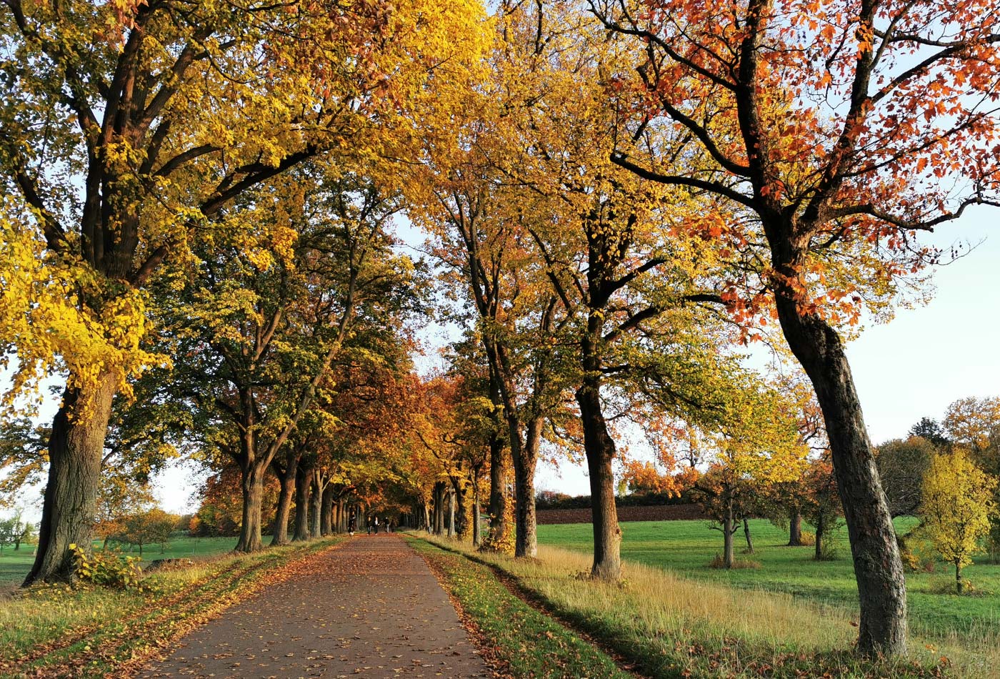 Blick auf den bunt eingefärbten Planetenweg.