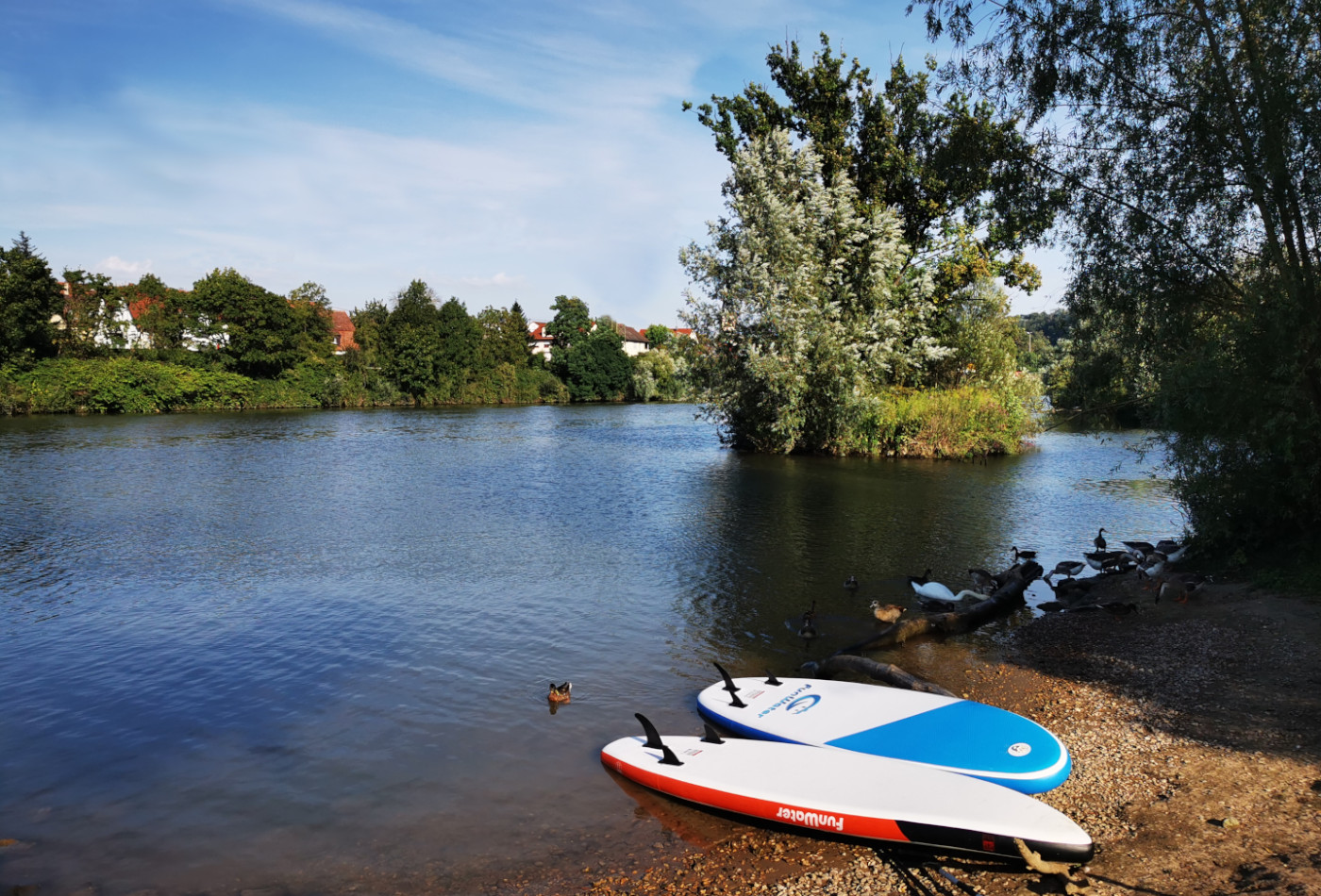 Das Neckarufer mit Entenfamilie und Stand-up-paddle-boards.