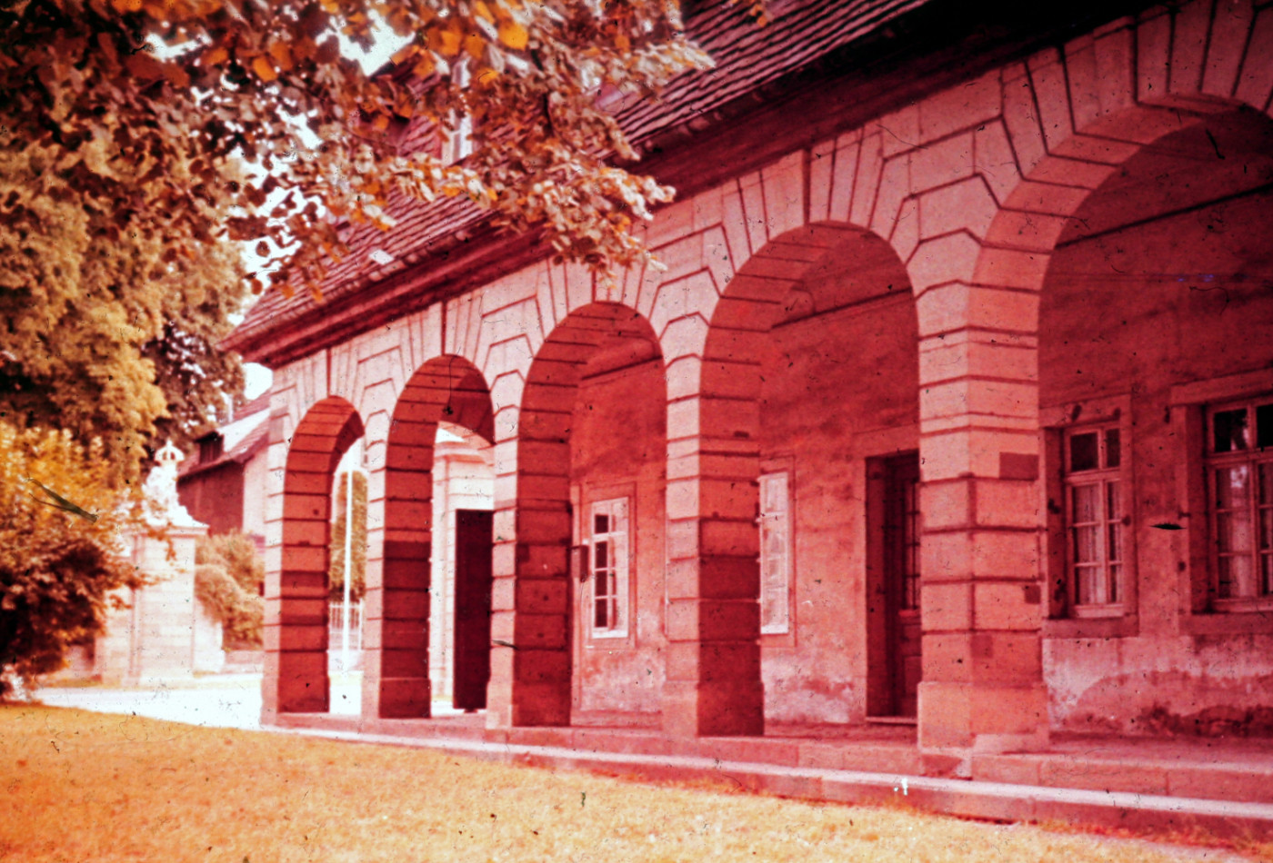 Neckarufer im Abendlicht mit Enten auf dem Wasser.