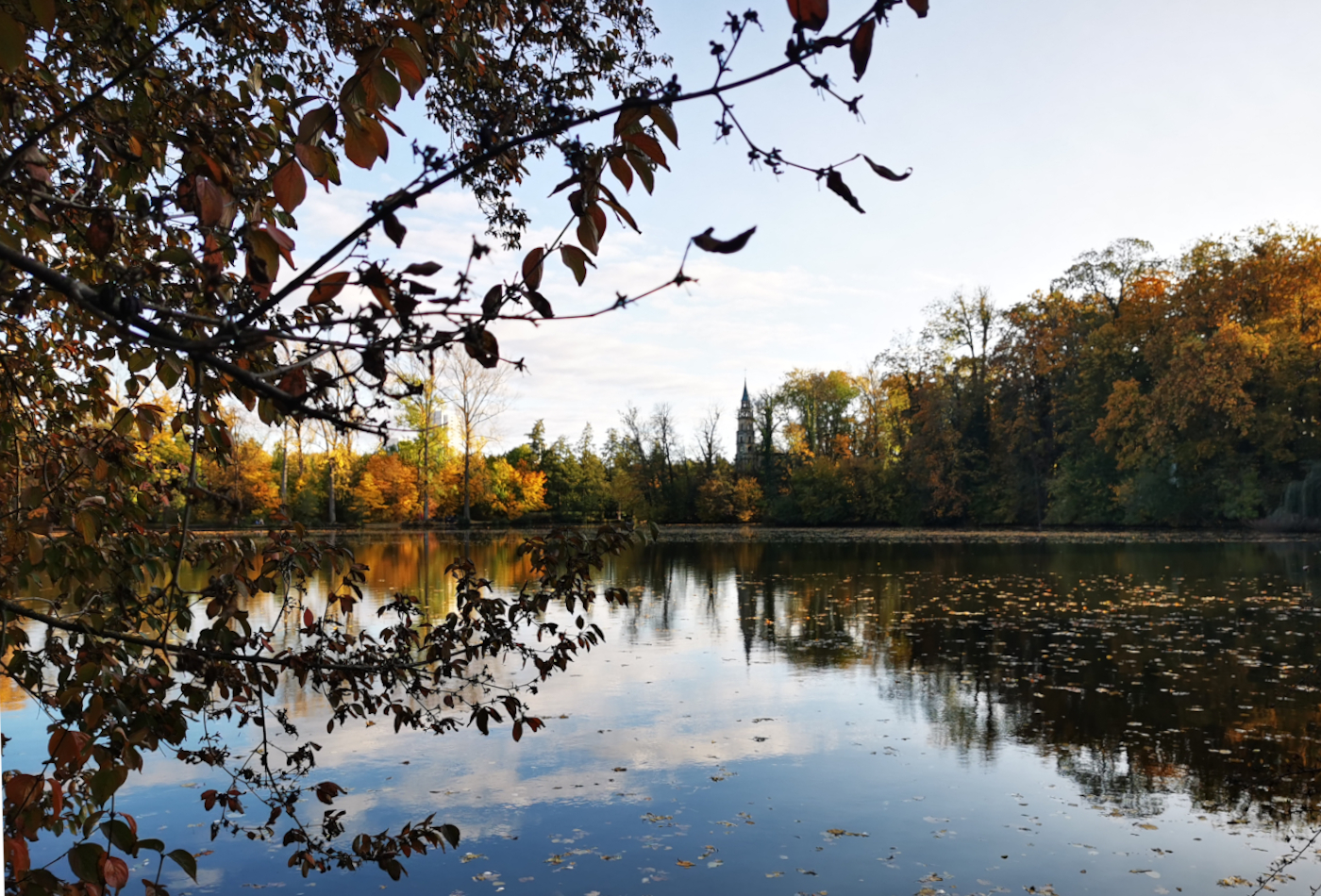 Blick auf den See im Herbst