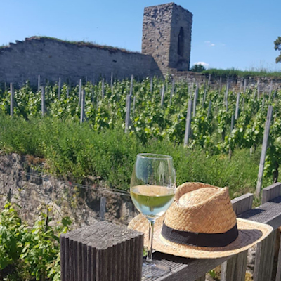 Die Burgruine Hoheneck und die Weinfelder im Hintergrund, im Vordergrund ein Sonnenhut und ein Glas mit Weißwein