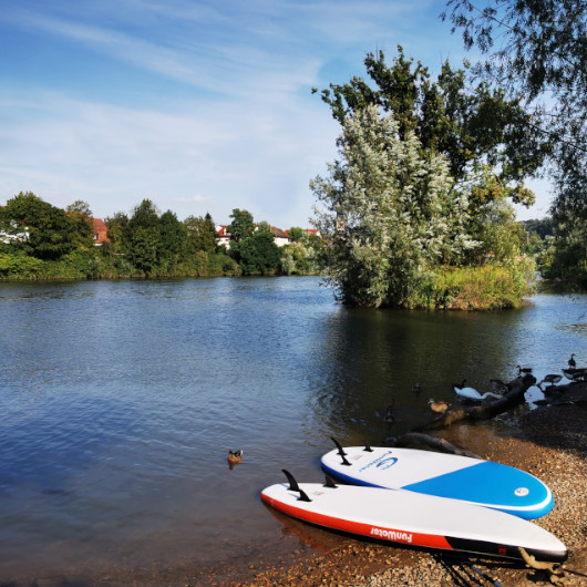Blick auf den Neckar mit Stand-up-Paddle-Boards am Ufer.