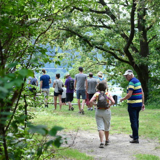 Besuchergruppe auf Weinbergtour