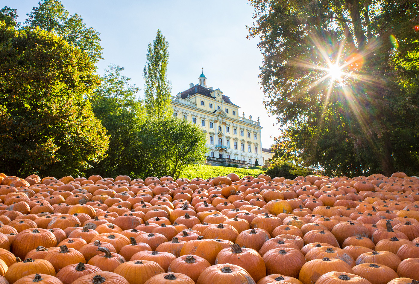 Blick auf Brunnen, im Hintergrund herbstlich gefärbte Bäume.